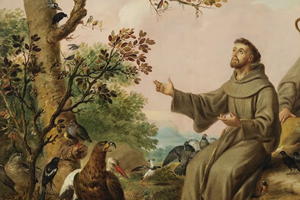 coronilla a san francisco de asis